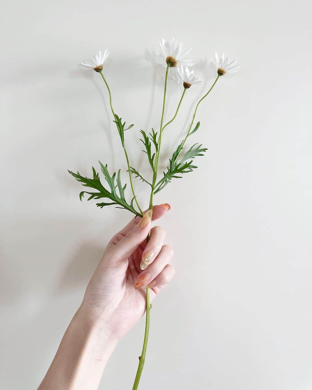 休井美郷さんのインスタグラム写真 - (休井美郷Instagram)「お花の写真とみせかけ、ネイルです。🐝  黄色と蜂蜜気分。🍋‎🤍」5月17日 13時59分 - kyuui_misato