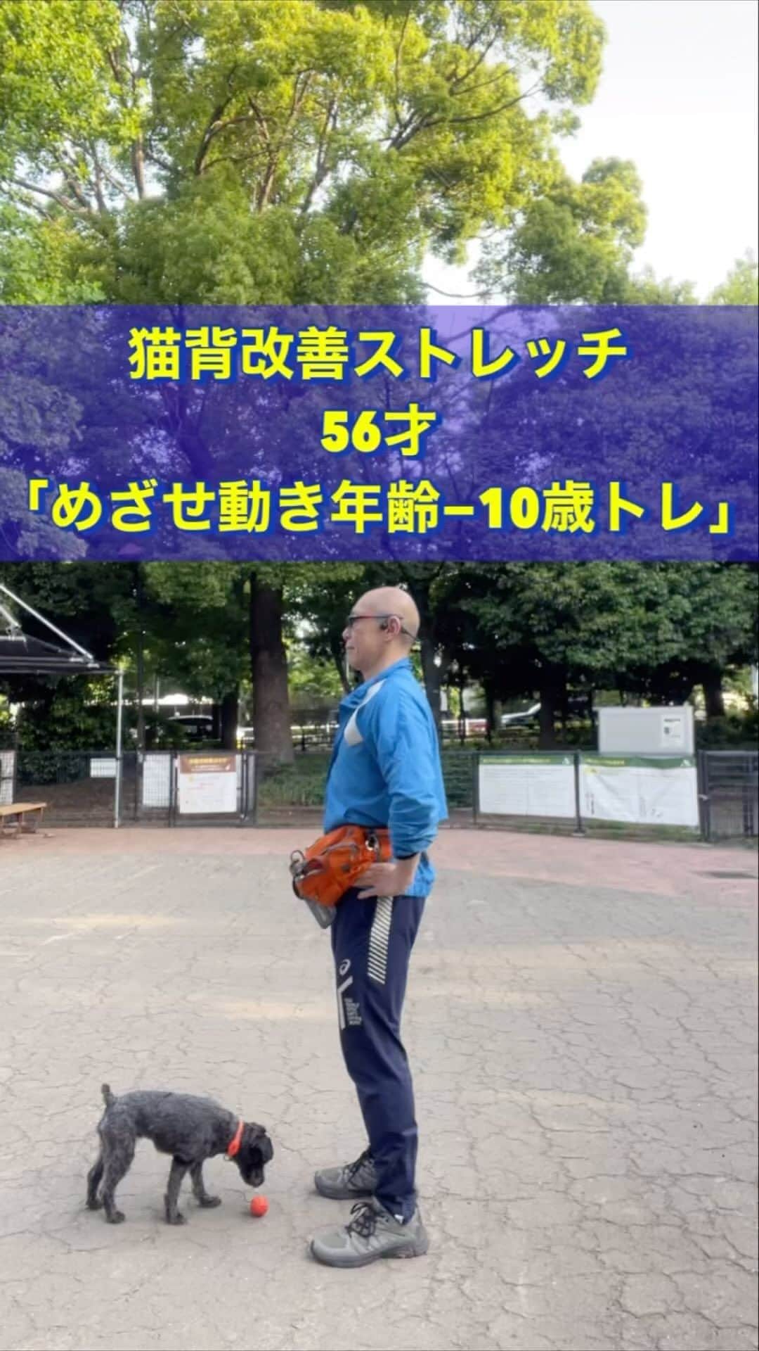 nobuaki.aokiのインスタグラム：「56才オジサン、老け顔(禿頭)だけどせめて動いてる姿は若々しくあろうと「実年齢−10歳」を目標に日々研究、実践しているうちのひとつ「猫背改善ストレッチ」をご紹介。もっと詳しく知りたいと思ったら「青木治療院　然」までご相談下さい！アカウントページよりホームページにアクセス出来ます #猫背改善 #アンチエイジング #中高年 #腹筋トレーニング #ストレッチ #青木治療院然 #駒沢」