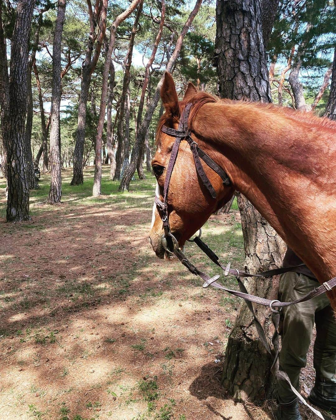 チ・スンヒョンさんのインスタグラム写真 - (チ・スンヒョンInstagram)「고향에서의 뜻깊은 첫 촬영!!  모두 무사히!!   이 여정이 마무리 되길 바랍니다🙏  The first shooting in my hometown. Interesting!!」5月17日 14時32分 - seunghyun_1219