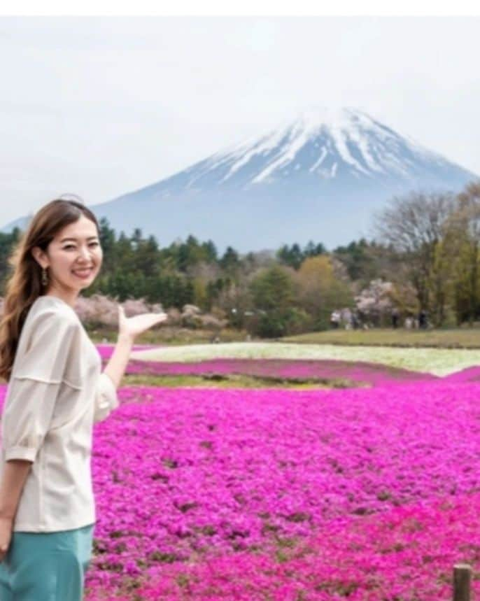 杉山由紀子さんのインスタグラム写真 - (杉山由紀子Instagram)「ウォーカープラスに♡ 富士の芝桜を取材しに行ったのが掲載中🌸✨　  ほんとに綺麗だったなー✨✨✨ お花ってタイミングがあるから、なかなかドンピシャな時に観れるって最高❤  しかも後ろに富士山🗻✨✨✨  #富士 #富士山 #富士芝桜まつり #芝桜 #しばざくら #撮影 #モデル #model #依頼はDMへ」5月17日 15時32分 - yukikosugiyama