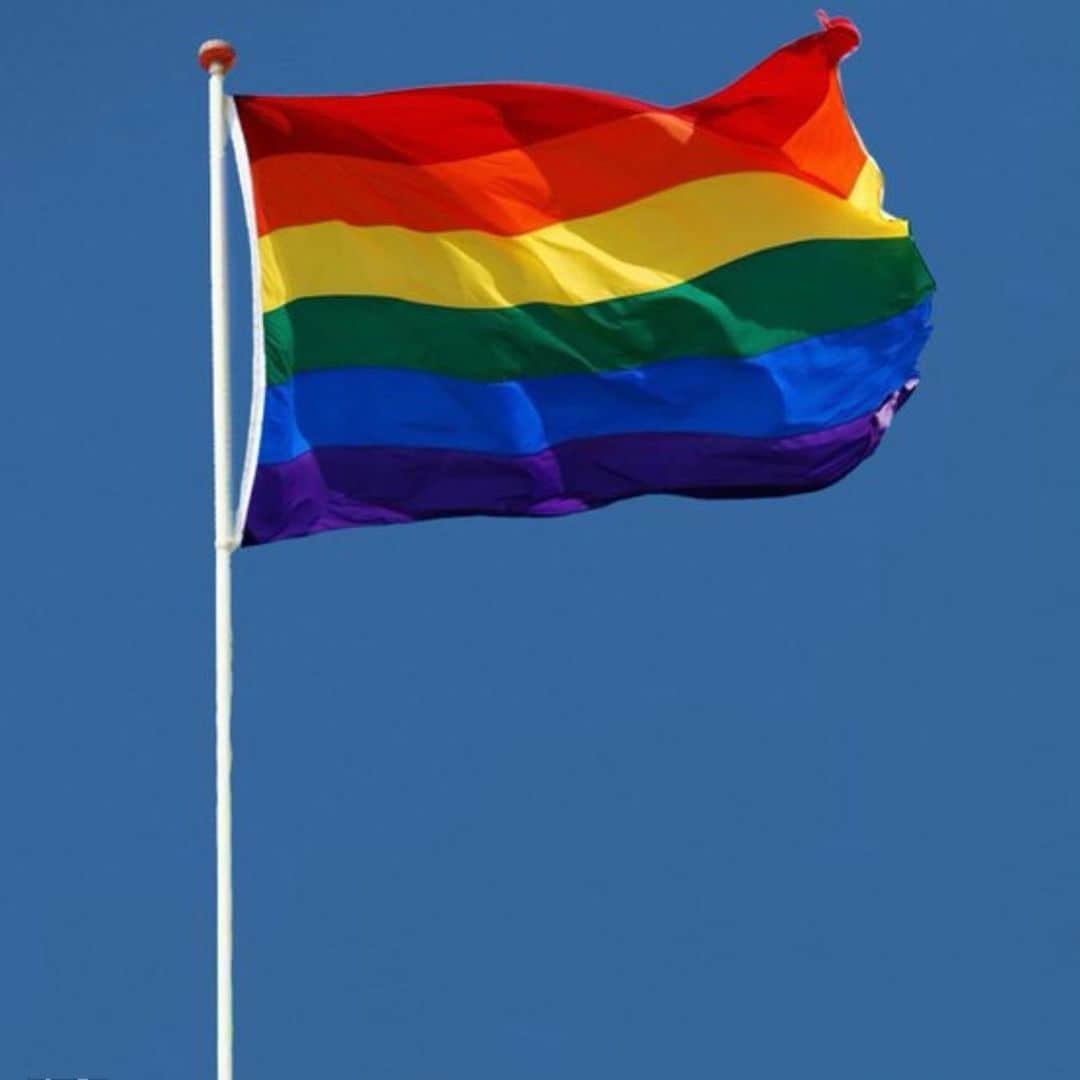 カーラ・ブルーニのインスタグラム：「La journée du 17 mai est là pour nous rappeler l'ensemble des actions en faveur des droits et de la protection des personnes LGBT. Et les progrès qu’il nous reste à faire …. #lgbt #droits #protection  🌈🌈🌈」