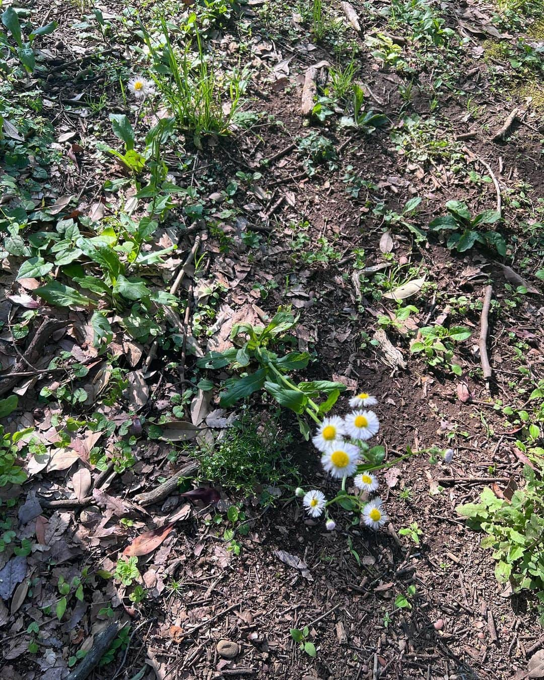 永田凜のインスタグラム：「👣」