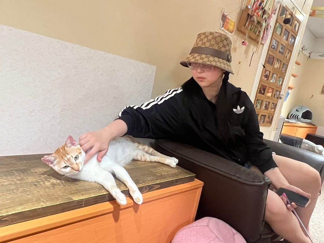 上田ミルキィのインスタグラム：「🐈🐇🦔」