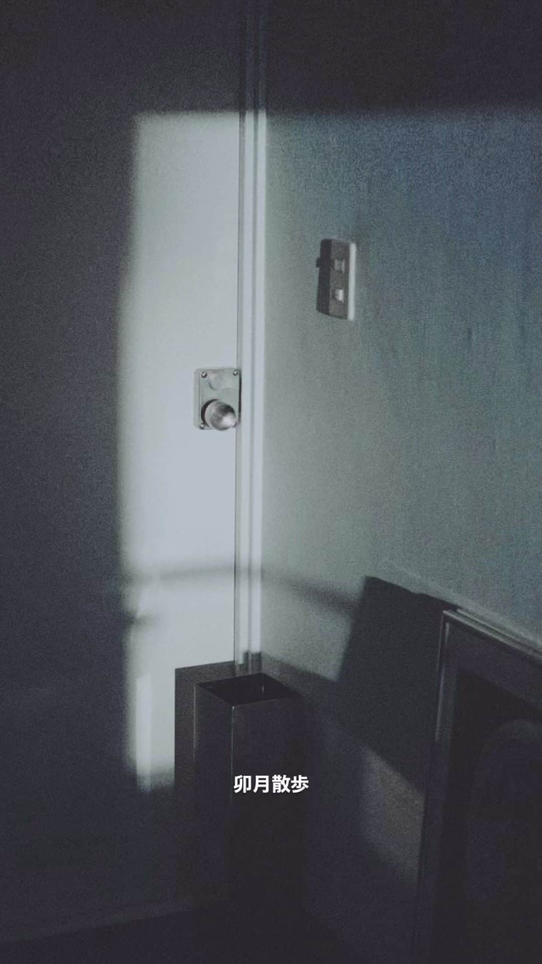 島田大介さんのインスタグラム (島田大介daisukeshimadaa)