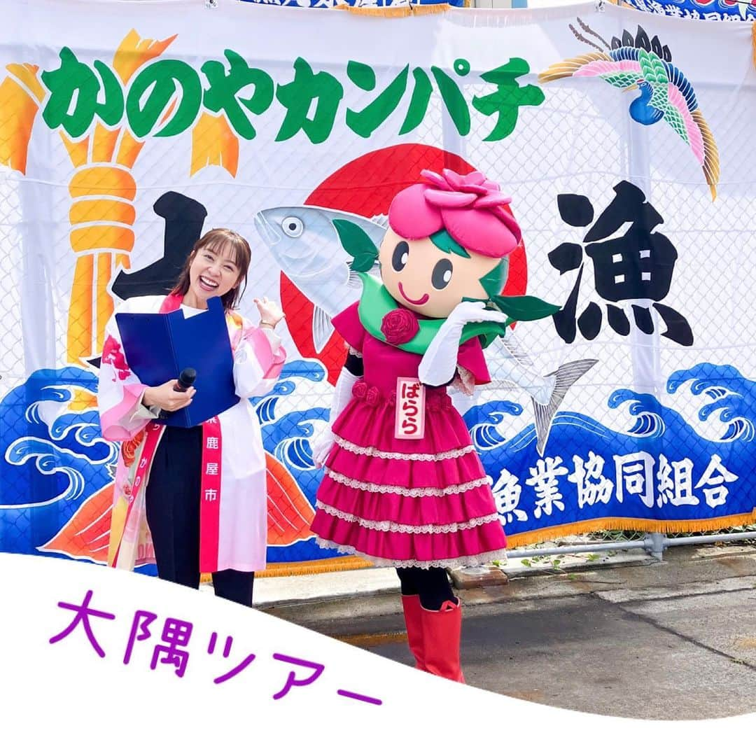 鳥越佳那のインスタグラム：「今年は クルーズ船が続々と鹿児島に寄港しています🚢✨  14日 クルーズ船からチャーター船に乗り換えて 鹿屋市(かのや)を巡るオプショナルツアーが開催され 歓迎セレモニーの司会を担当しました🎤  鹿屋港で 地元のみなさんと法被を着て \\ようこそ大隅半島へ//  港に響き渡る元気な声に 地元の歓迎っぷりを感じました📣😆  特産品 🐟かのやカンパチのお刺身や 🦐ヒメアマエビのかき揚げ の試食があったり  かのやばら祭りが開催されている#かのやばら園 や さつまいもスイーツなどを提供されている#南風ガーデン を巡ったり・・・  大隅半島の自然と食を堪能されたとのこと🌹🍠♪  笑顔がたくさん見られて みなさんの歓迎する気持ちが 届いたのだと思いました😊✨  ～～～～～～ 静岡にいた頃のクルーズ船ロケを思い出し 船内が一つの街のようで 24時間遊び尽くせる夢のような船だったなぁと🤔  ただ、鹿屋では そんな煌びやか船とはまた違う 大自然での開放感や 人の温かさを感じられるんだよなぁ。。  両方の世界を知ると どちらの良さもより引き立つのだと実感したのでした🫢  癒されたくなったら鹿屋におじゃったもんせ～🌋❣️ . . #豪華客船 #マリンポート  #古江町 #鹿屋港 #古江港 #九州観光 #鹿児島観光 #ツアー #ばららちゃん  #大隅半島 #鹿屋市 #鹿屋 #かのや #地域おこし協力隊 #かのやPRレポーター #さつまいもアナウンサー . . 〜〜〜〜〜〜〜〜〜〜 \\おいものまちかのやの魅力を発信// YouTube『かないも日和』は @kana_torigoe プロフィールから🐥💕 チャンネル登録＆高評価よろしくお願いします☺️ 〜〜〜〜〜〜〜〜〜〜」