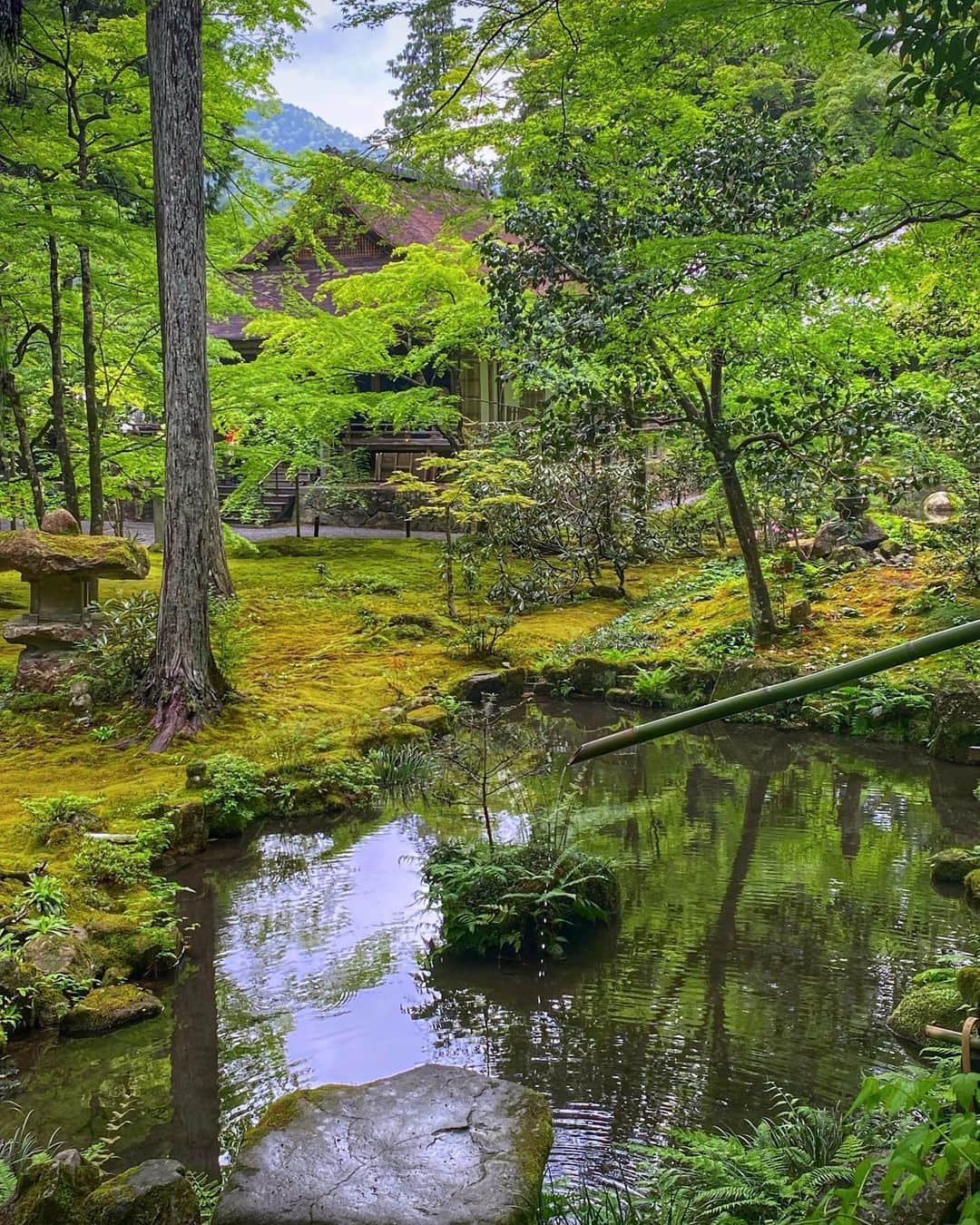 hama_aki_pppのインスタグラム：「京都市左京区#三千院 (スライドして下さい)  Location kyoto Japan (Swipe)   Date.2023.04.30   GW始まりの日、久しぶりに三千院に行きました🌱🌱 人も少なく新緑と苔をゆっくり堪能出来ました　  #神社仏閣　 #神社仏閣好きな人と繋がりたい  #そうだ京都行こう #寺社仏閣 #beautiful_kansai  #visitjapanjp  #j_flower_shots  #flyjal #おとな旅プレミアム  #こころから  #jalan_travel  #japanese_gardens  #otonatabi_japan  #histrip_japan  #絶景事典  #kyototrip  #anaタビキブン  #ptk_japan  #kyototravel  #japanesetemple  #japanesegarden  #raw_japan  #deaf_b_j_  #iphonephotography  #iphoneonly  #スマホ越しの私の世界」