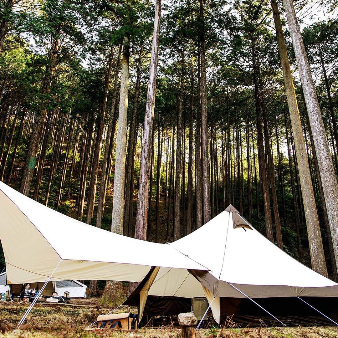キャンプ情報サイト［ランタン］さんのインスタグラム写真 - (キャンプ情報サイト［ランタン］Instagram)「CAMP SMILE STYLE ／ 今日は大人だけのキャンプ。 食事にこだわって楽しい時間を過ごす ＼ いろんなキャンパーのキャンプスタイルを現地取材と一般キャンパーからの投稿で数多く掲載してます。 . . 詳しくは @lantern.camp webサイトをご覧ください . . #camp #camping #camplife #outdoor #travel #trip #lantern_smile #キャンプ #キャンプ用品 #アウトドア #テント #自然 #旅行 #キャンプ初心者 #キャンプ好きな人と繋がりたい #アウトドア好きな人と繋がりたい #camper #外遊び #キャンプスタイル #かぶとの森テラス #グループキャンプ #グルキャン #キャンプ飯 #ZANEARTS #ゼインアーツ #OPINEL #オピネル #ナイフ」5月17日 18時14分 - lantern.camp