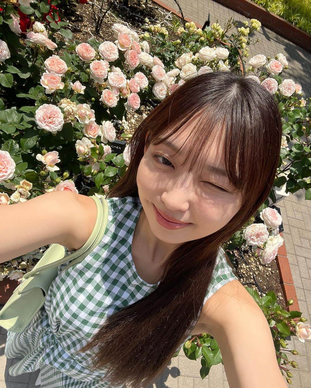 水春（ukka）さんのインスタグラム写真 - (水春（ukka）Instagram)「遅ればせながら薔薇」5月17日 18時57分 - 25mizuha06