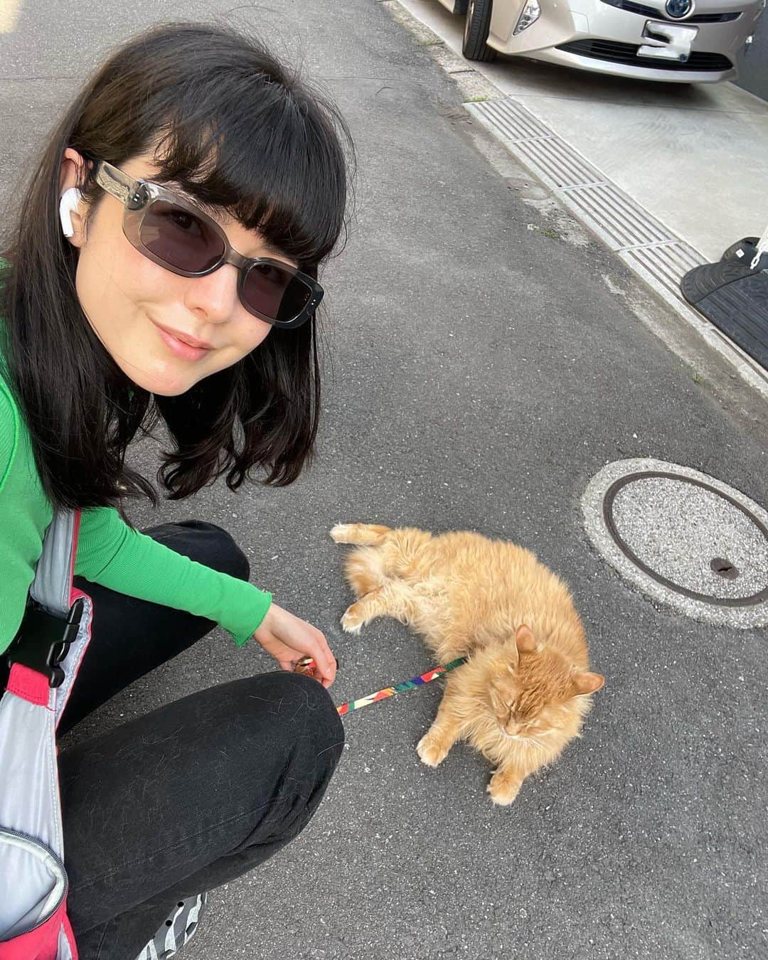 のインスタグラム：「Baby being so big and so small at the same time 💓 . . . . . #pumpkin#cute#cat#summer#style#fashion#model#パンプキン#可愛い#猫#スタイル#ファッション#モデル#고양이#귀여워#스타일#패션#모델#일상」