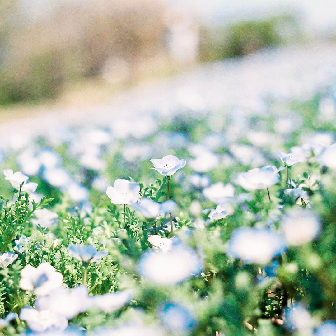 花澤杏華さんのインスタグラム写真 - (花澤杏華Instagram)「幸せと優しさで溢れますように、」5月18日 19時00分 - aprico7_