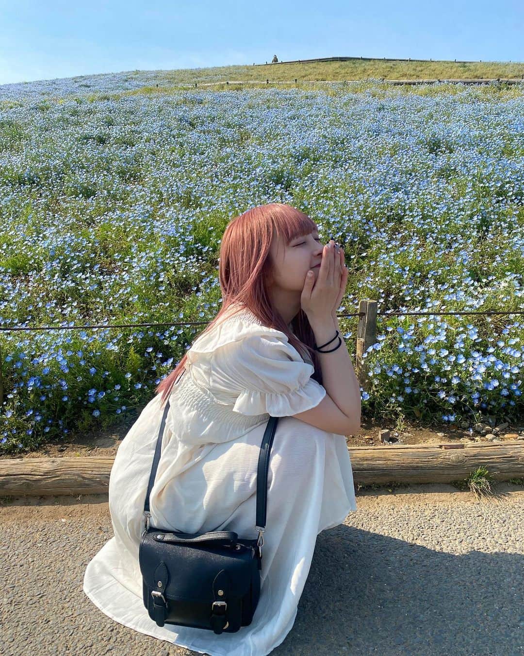 吉田笑夢さんのインスタグラム写真 - (吉田笑夢Instagram)「綺麗だった🥰  #ネモフィラ #お花 #ワンピース」5月17日 19時15分 - emu_05070