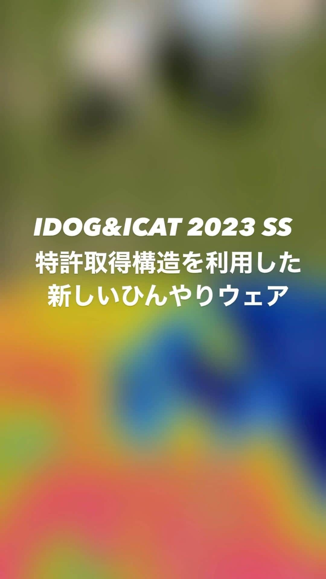 iDog&iCatのインスタグラム