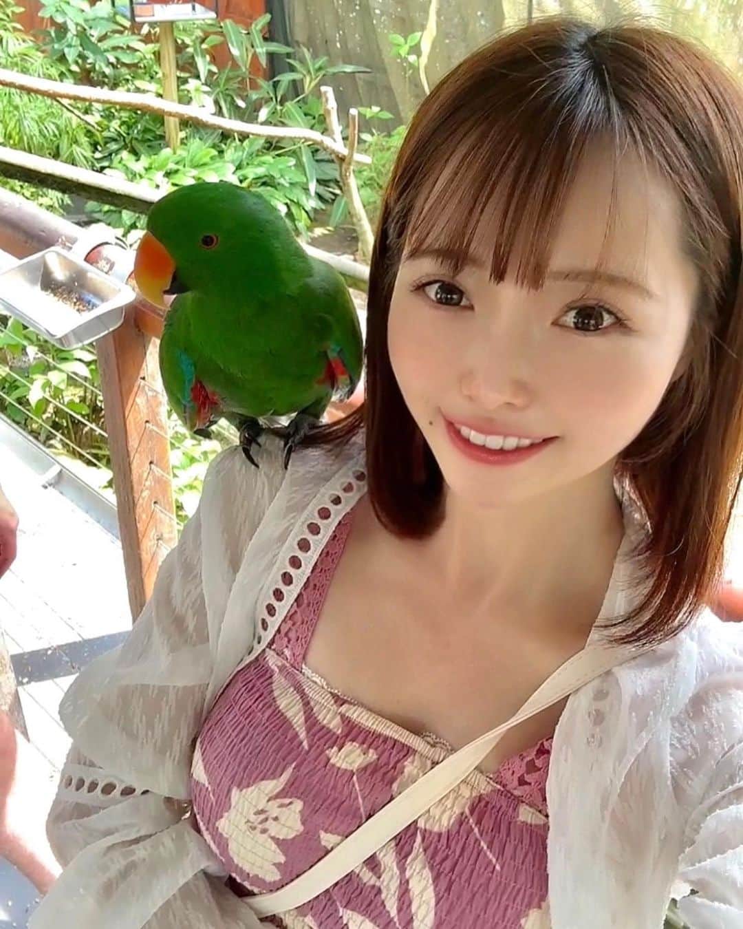 森香穂さんのインスタグラム写真 - (森香穂Instagram)「♡  肩乗りインコ‪🦜‬💗  日本では柵の中でしかなかなか見ることができないけどこうして自由に触れ合えることに驚きました(👀)♡  カラフルな鳥さんたち🌈 とっても可愛かった😳  私の肩に乗れオーラが強かったのか なかなか近づいてくれなくて頑張って餌巻いて呼び寄せたインコたちらぶ( ˶ˆ꒳ˆ˵ )   #インコ  #オーストラリア  #ケアンズ  #キュランダ」5月17日 21時25分 - kaho_mori0601