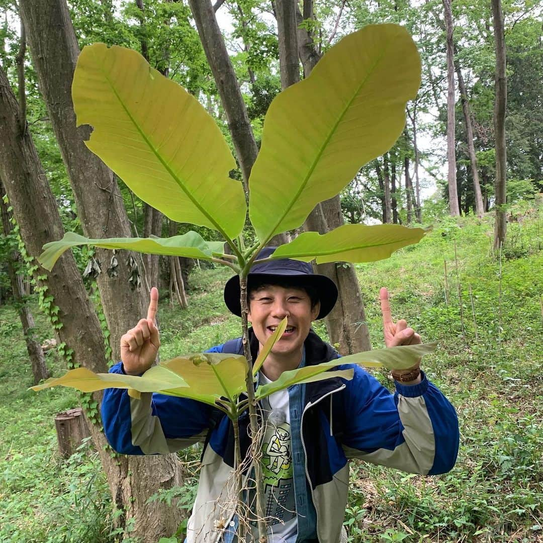 佐久間一行さんのインスタグラム写真 - (佐久間一行Instagram)「里山って響き、すごくいいな〜  道草さんぽ・春　第7回目、ご視聴ありがとうございました！再放送、見逃し配信でもぜひ💫  オフショットより。大きい葉っぱはワクワクですね。  #佐久間一行 #趣味どきっ！ #道草さんぽ・春 #Eテレ #里山 #里山さんぽ #町田市小野路」5月17日 22時06分 - sakuzari