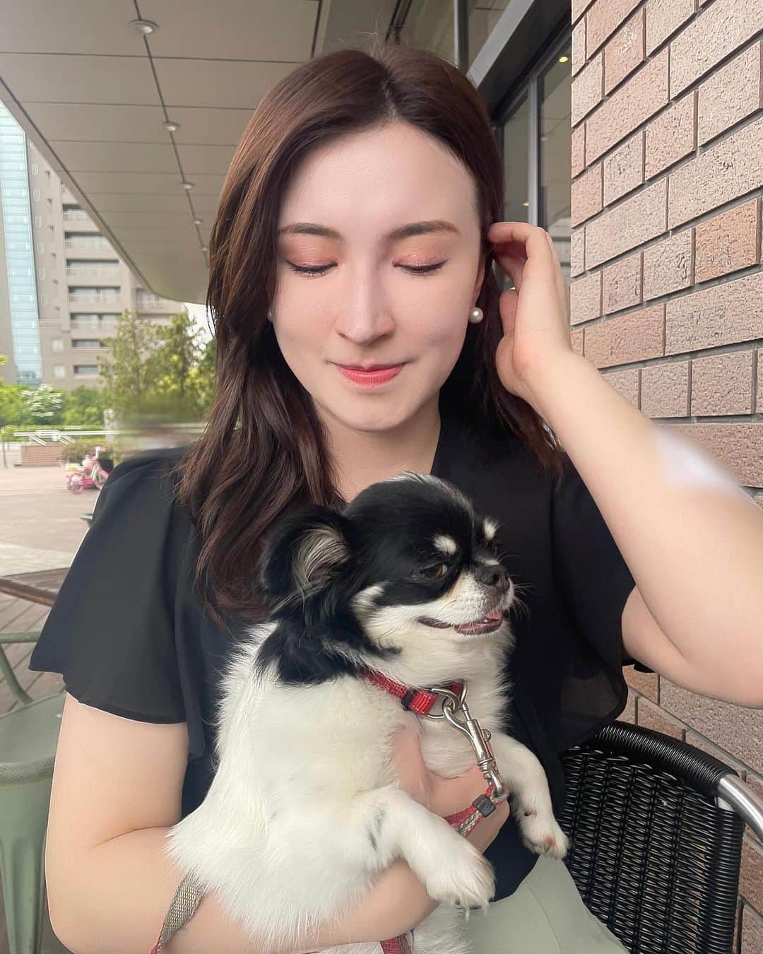 ウーデンジェニファー里沙のインスタグラム：「* 愛犬が飼い主に似るのか 飼い主が愛犬に似るのでしょうか🐶  先日、実家に住んでいるチワワ ティファニーが大阪に遊びに来ました♡ お散歩をした後だったので 少し眠たくなってしまったようです…💭可愛い  .  .  .  #テレビ大阪 #アナウンサー #ウーデンジェニファー里沙 #announcer #チワワ #愛犬 #愛犬との暮らし #🐶 #chihuahua #dog #大阪 #関西」