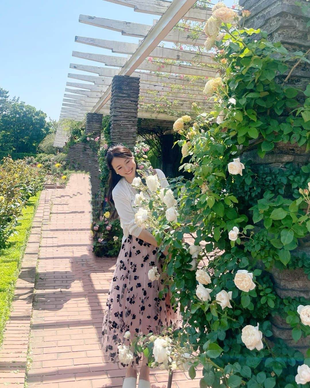 黒澤ゆりかのインスタグラム：「我が家のお庭へようこそ🌹  去年もご紹介してこの時期恒例行事ですね😂笑  ちょうど見頃を迎えて満開☺️  素敵な香りと薔薇に癒されました❤️ 撮影はお御母さん♪  来年も楽しみです🥰  という事で今回のお庭は谷津バラ園✨ 千葉いいところたくさんあるの最近教えてもらってる😍  みんなは私に渡すとしたら何色の薔薇を送ってくれますか？☺️」