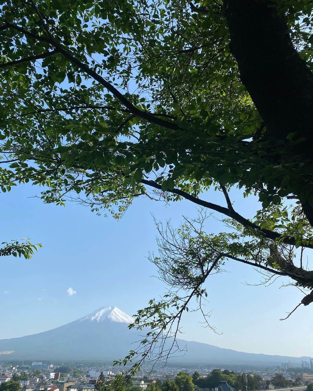 青木さやかのインスタグラム：「今日の山梨県側からの富士山と 今夜のお風呂場のシティ(猫) #富士山 #ネコ」