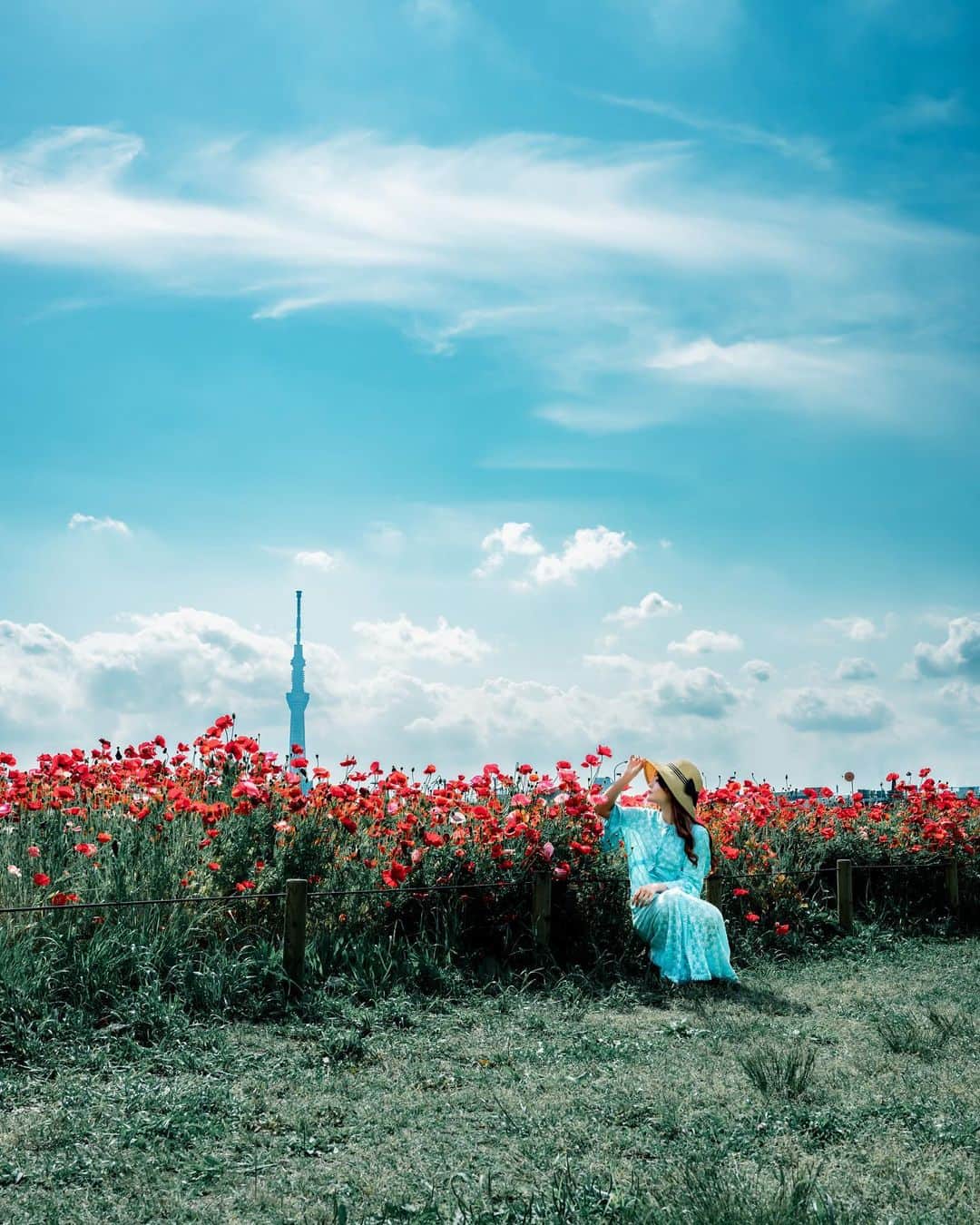 shabonのインスタグラム：「* . . . . . もう空が夏だね！！ 日焼けしたくないなぁ😇 . ここ最近ってどこも 赤いポピーが多いですね😳 何年か前はピンクポピーも 多かったのになぁ🤔 （フィルムで撮ってた時代。笑） . . model : @ayaketty1685 . . FUJIFILM GFX50S II /  GF45mm F2.8 R WR . . . . . . *」