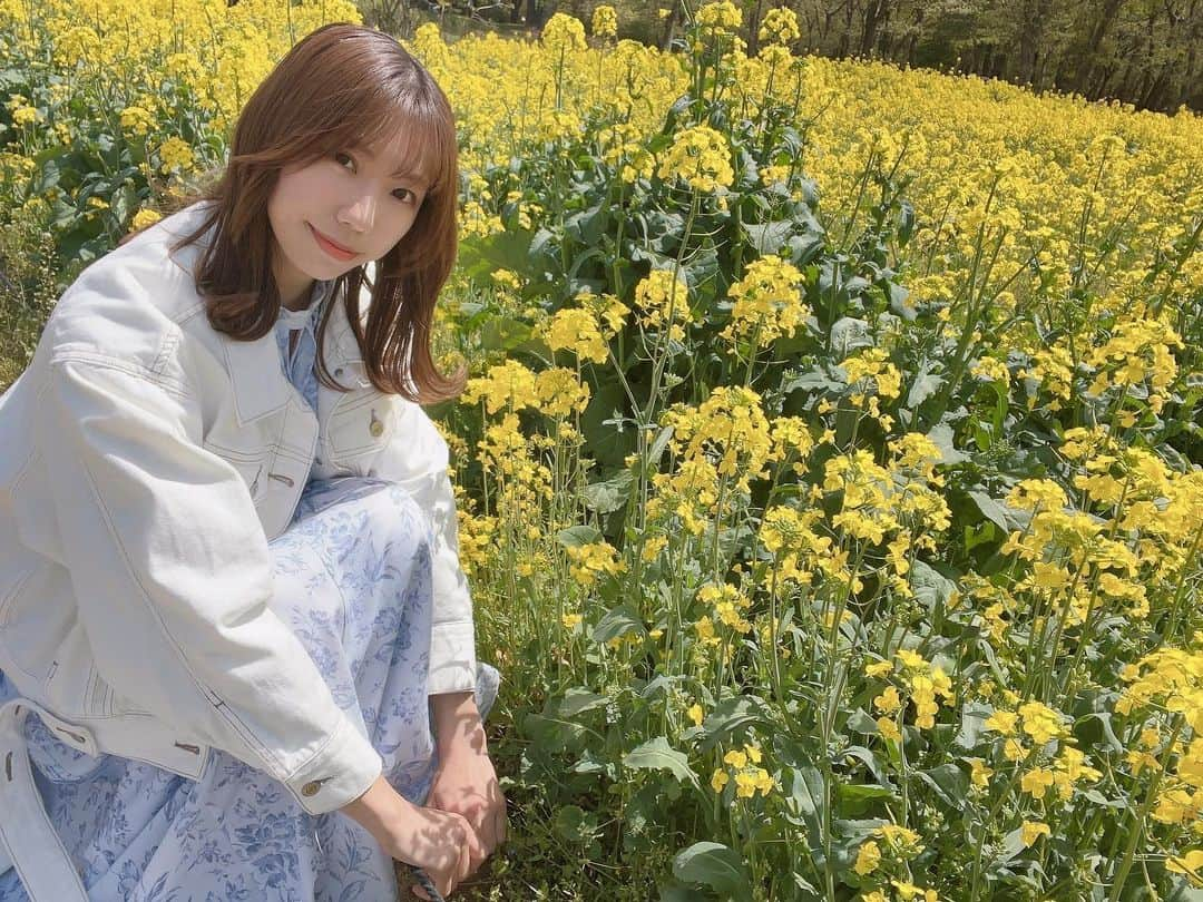 桐谷蝶々のインスタグラム：「🌼 新しいお仕事が決まりましたのでお知らせですー！  5月21日(日)22:35〜 競輪専門TV スピードチャンネル 『Girls素けっち』  新番組のナレーションを担当する事になりました！  ガールズケイリンのドキュメント番組です。 初回の今回は「 #野口諭実可 選手」に密着！ ものすごいトレーニングをされていて驚きました。  スカパーです。 ぜひご覧ください　スタッフの皆様、猪鹿蝶狩野さんありがとうございます！  自転車に合いそう写真が無かったので、4月に撮った菜の花写真にしました。 今度ガールズケイリン観に行きたいです🚴‍♀️✨  #ガールズケイリン #競輪  #スポーツ  #スポーツ番組  #ナレーション  #ナレーター  #ドキュメンタリー  #ドキュメント」