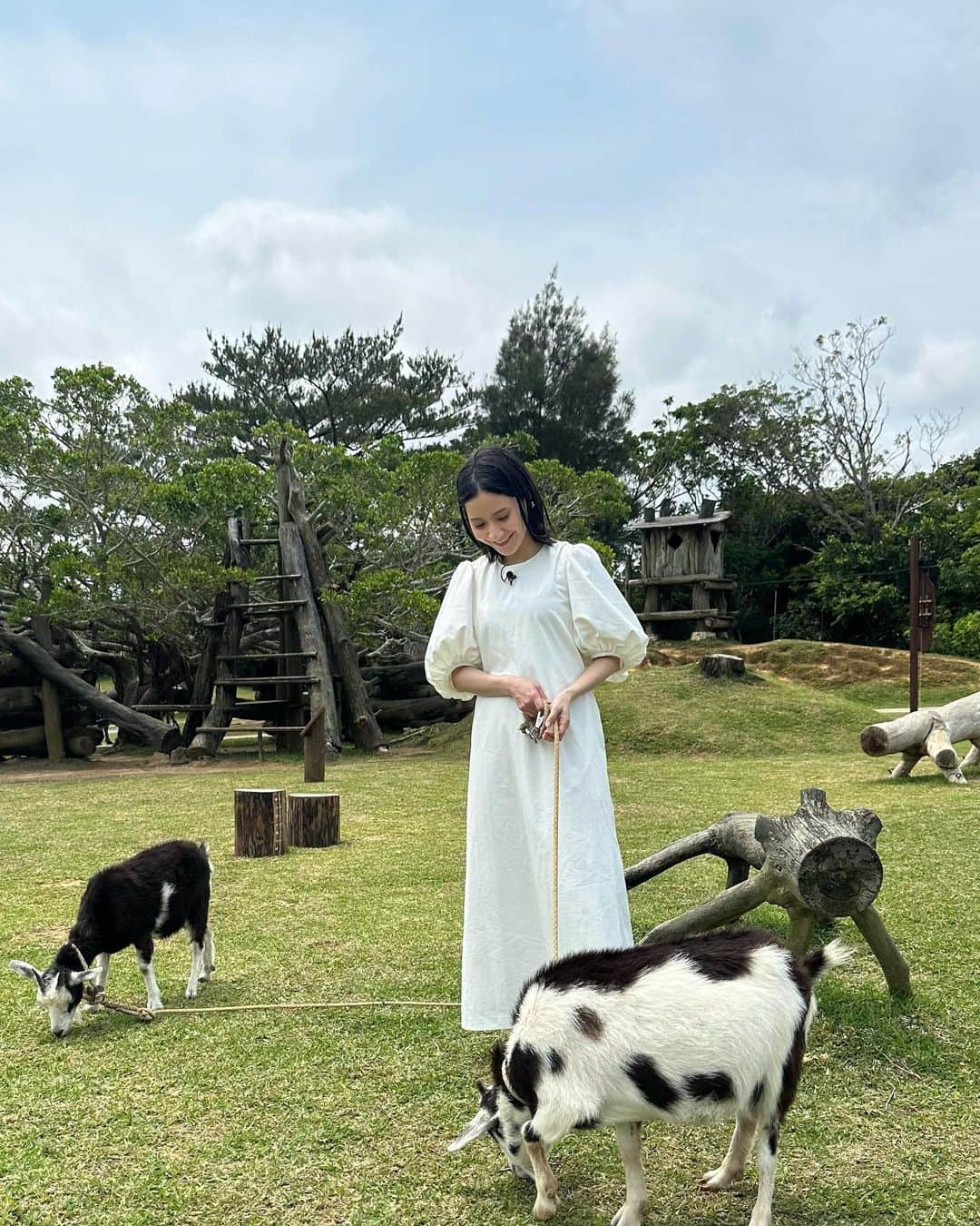 ヒガリノさんのインスタグラム写真 - (ヒガリノInstagram)「__  📍ビオスの丘(沖縄県うるま市)  うるま市にあるビオスの丘では敷地内で やぎのお散歩ができるって知ってた？😳  生まれて初めての経験でした🤭  #沖縄 #沖縄観光 #沖縄観光スポット #沖縄映えスポット #沖縄旅行 #うるま市 #ビオスの丘 #やぎ #ヤギ #山羊 #お散歩」5月17日 23時28分 - __higarino__