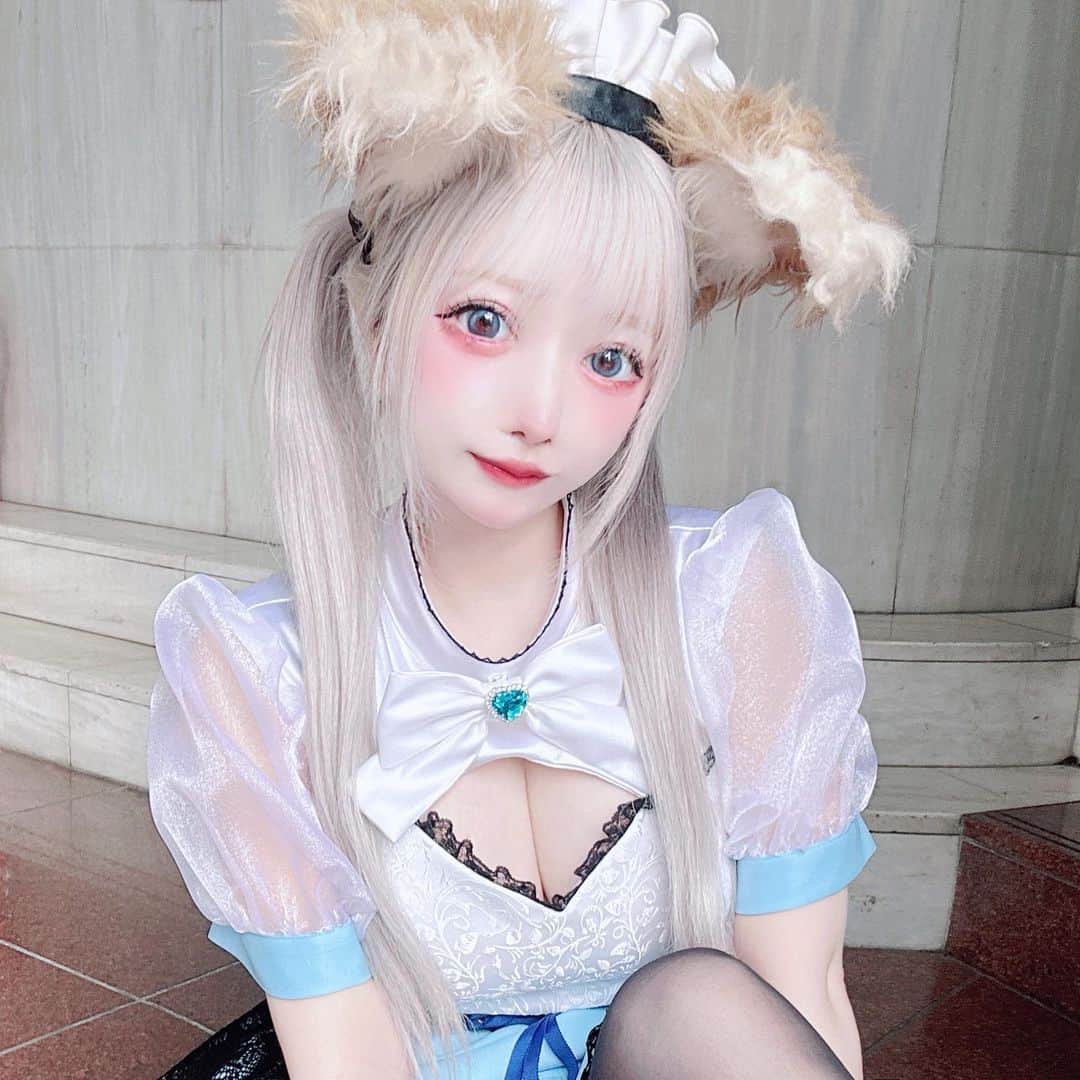 ふぇりすみにょんのインスタグラム：「糸リフト1ヶ月経過🪽 ダウンタイムもほぼなく当日からお化粧できてすごく引き上がったよ🤍🐱  #おまかせリフト#糸リフト入れ放題#カスタマイズ糸リフト#アラジン美容クリニック#天使リフト#悪魔リフト#コスプレイヤー #コスプレ女子 #model #cosplay #cosplaygirl #cosplayer #japanese #japanesecosplayer #japanesecosplay #cosplayersofinstagram #코스플레이어 #角色扮演者 #角色扮演」