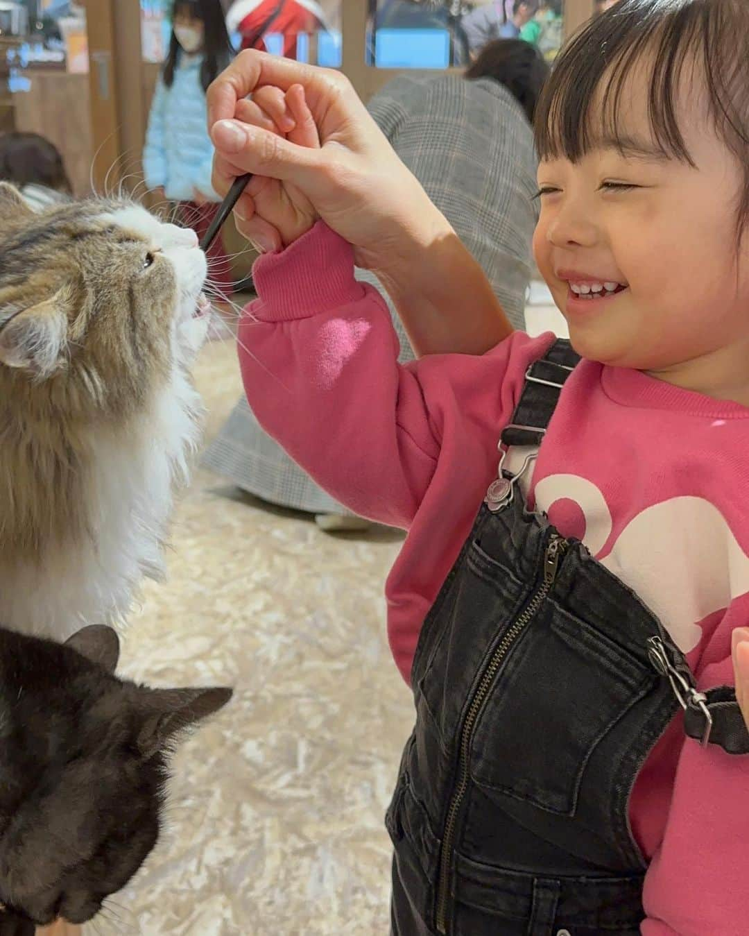 漆川由佳のインスタグラム：「初めてのAnimel🐈🐈‍⬛🐕🐩🐇💕」