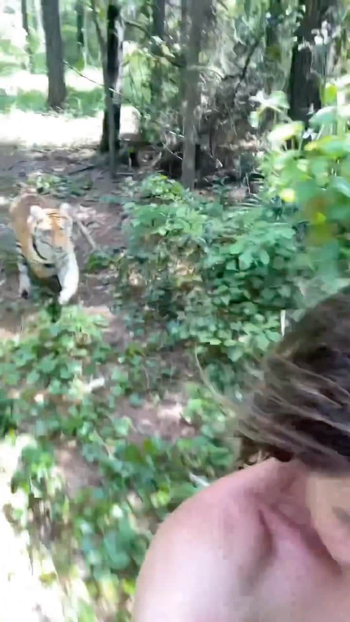 WildLifeのインスタグラム：「Beest friends😁🐾  By @kodyantle」