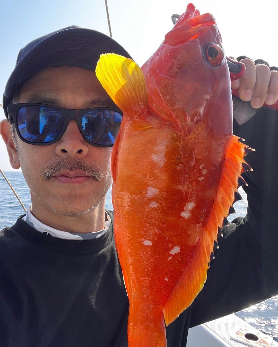 佐々木洋平のインスタグラム：「七里ヶ曽根から壱岐に戻って SLJでアカハタとキジハタを狙いに  爆釣で良い形のだけもちかえり🎣  #壱岐  #slj  #fishing  #fishinglife」