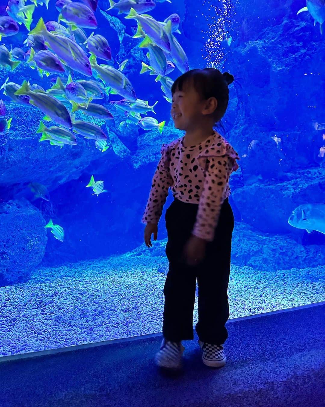 漆川由佳のインスタグラム：「初🌟すみだ水族館🐟🐠🐡💕」