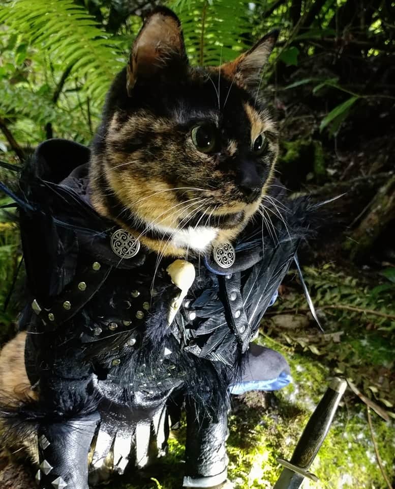 猫コスプレさんのインスタグラム写真 - (猫コスプレInstagram)「🗡🗡🗡  #Vaxildan #voxmachina  . . . . #catcosplay #cosplay #cosplayer #cat #catcostume #catsinclothes #petclothes #PetCostume #petarmor #catarmor #funnycats #armor #leatherarmor #leatherwork #CriticalRole #criticalrolecosplay #Critters #criticalcosplay #criticalrolefanart #vaxildancosplay」5月18日 1時43分 - cat_cosplay