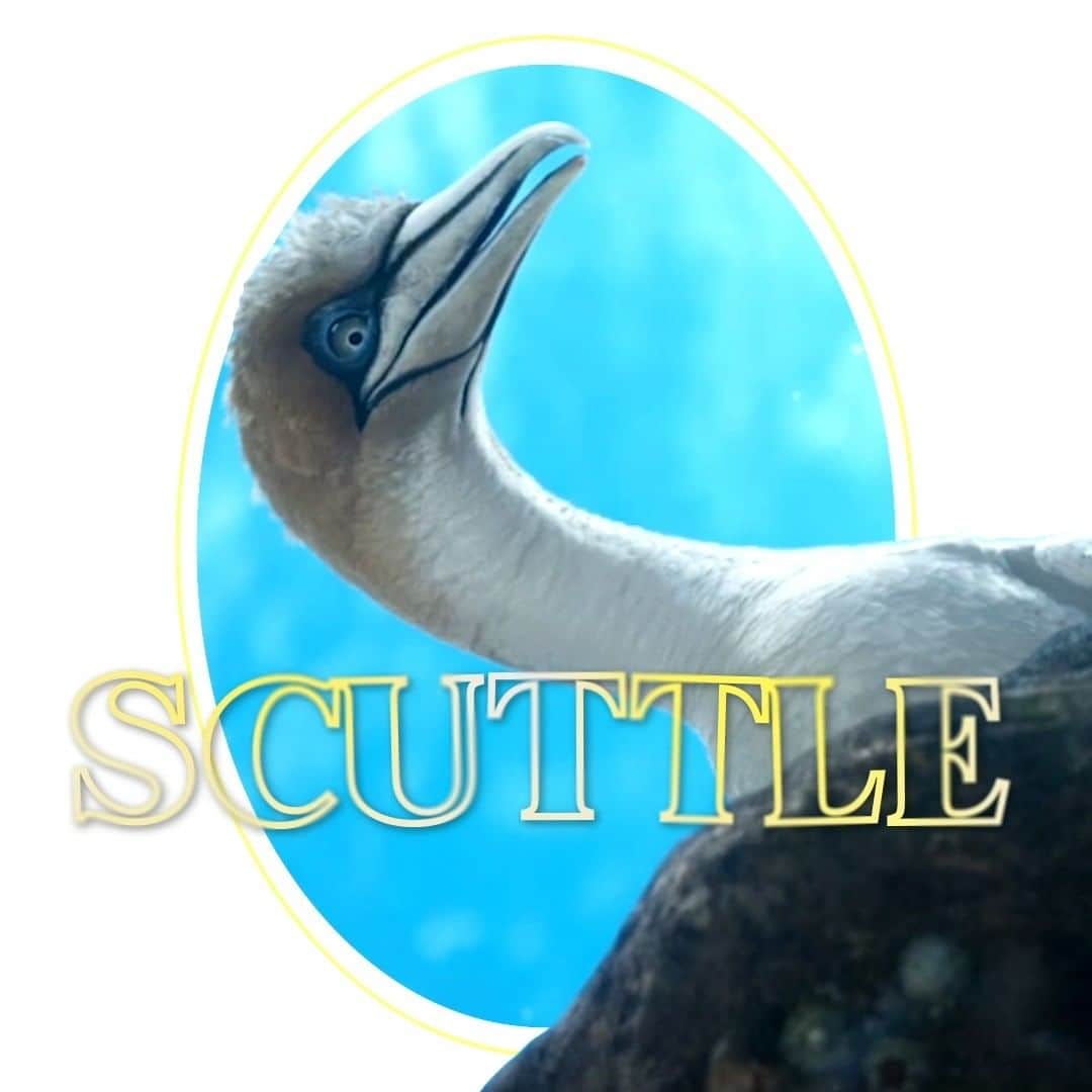 Walt Disney Studiosのインスタグラム：「Hey Scuttle, your feathers ALWAYS look good! 😉🐦 Awkwafina is Scuttle in Disney's #TheLittleMermaid coming to theaters May 26!」