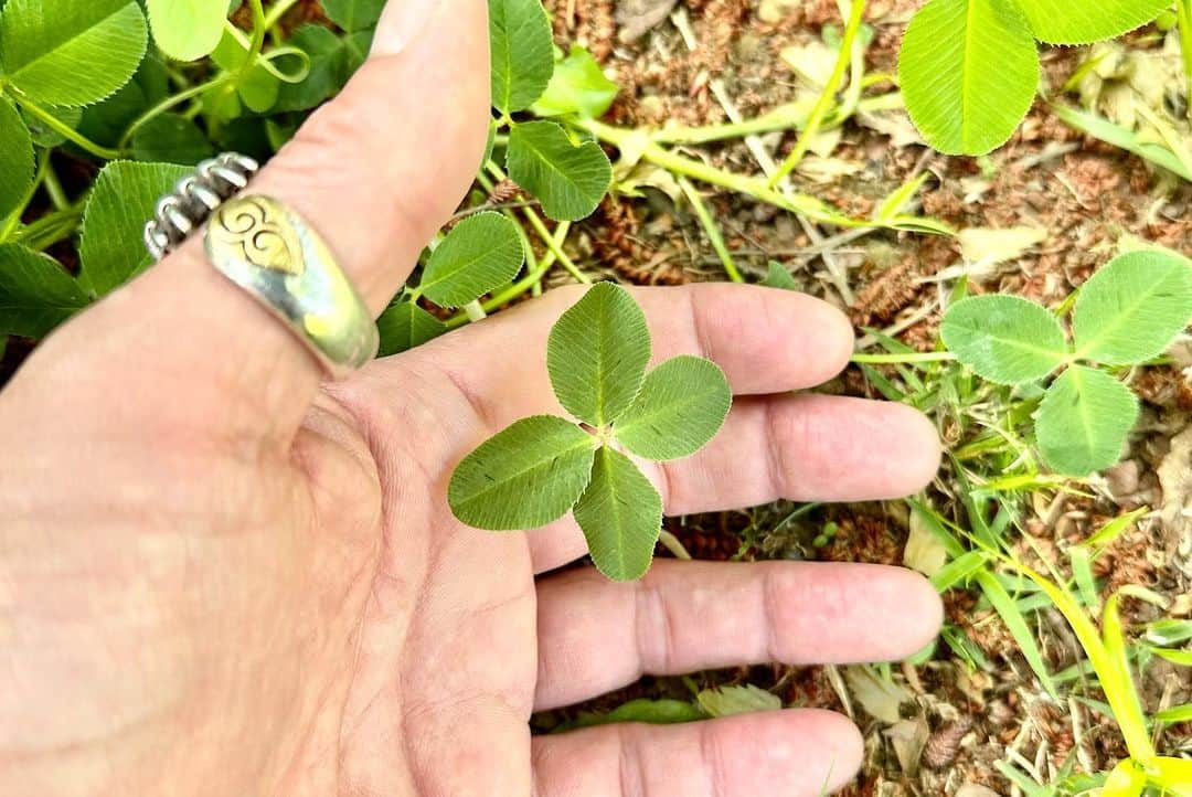 宇梶剛士さんのインスタグラム写真 - (宇梶剛士Instagram)「時の流れが早く感じて、そんな時は「こんなんだね♪」などと言ってみたいものだけれど、そんなことわかってないで生きているから、言ってみたいような気もするけれど、言うまでには及ばないのかなというような自分。 ただ、流れる時の中で「あ♪」とか「おっ♪」とかの🍀もあって(心ある友にも、お前のSNSダメだなと言われたりしつつ)とりとめのないことをアップしてきました。 Twitterは10年以上もして来たけれども、使っていたプラットフォーム？がダメになったようで公式アプリは自分なりには相当がんばったけれど使いこなせず、やりとりさせてもらっていた人人にもちゃんとバイバイできないまま失礼してしまいました。限られた命の中で、会えることはなくともやりとりさせてもらった1人1人にありがとうございました❤️ Instagramは、この程度ではあって、もう少しか、またまだ不細工からは脱したいのだけれども、向上を目指そうと思います。 この…どなたに発表しているのか分からないけれど、この先にの「誰か」に話しかける感覚を「今」と捉え感じて、ピース🍀」5月18日 3時45分 - ukajiii