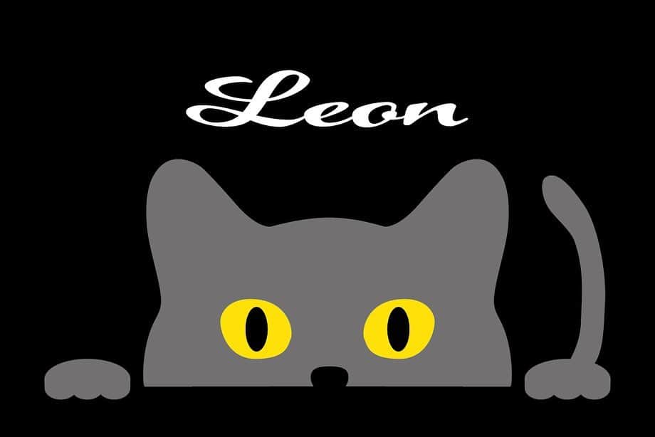 谷内伸也さんのインスタグラム写真 - (谷内伸也Instagram)「LEONオリジナル刺繍T-shirtの白、 入荷しました(非売品)🐈‍⬛🪡  #LEON #scottishstraight #猫Tシャツ #猫の刺繍 #cat #cattshirt #猫イラストレーター #イラレ部 #Adobe」5月18日 15時32分 - lead_shinya