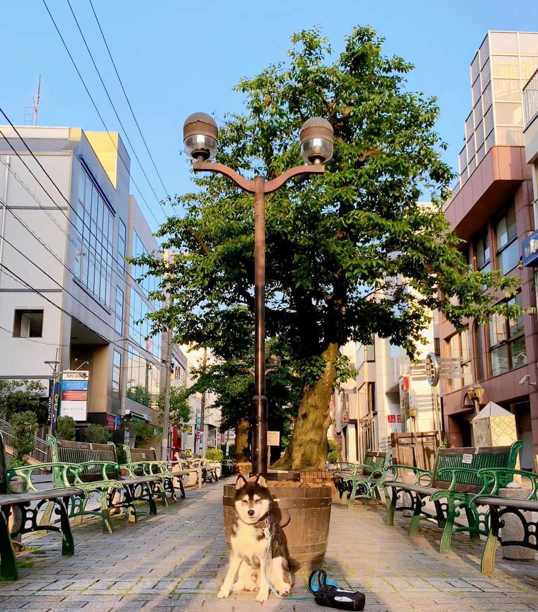 くろのグルメインスタ