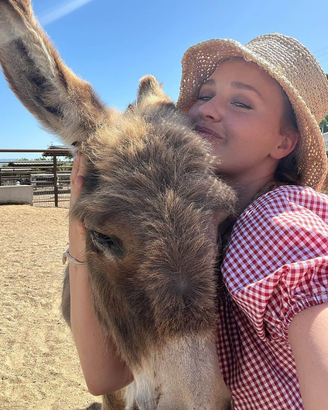 アマンダ・ミシェルカさんのインスタグラム写真 - (アマンダ・ミシェルカInstagram)「Donkey Day Afternoon」5月18日 9時01分 - iamaj