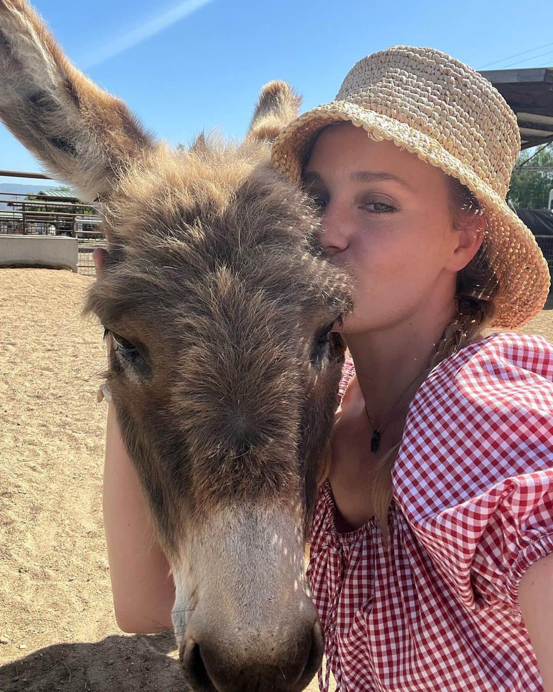 アマンダ・ミシェルカのインスタグラム：「Donkey Day Afternoon」