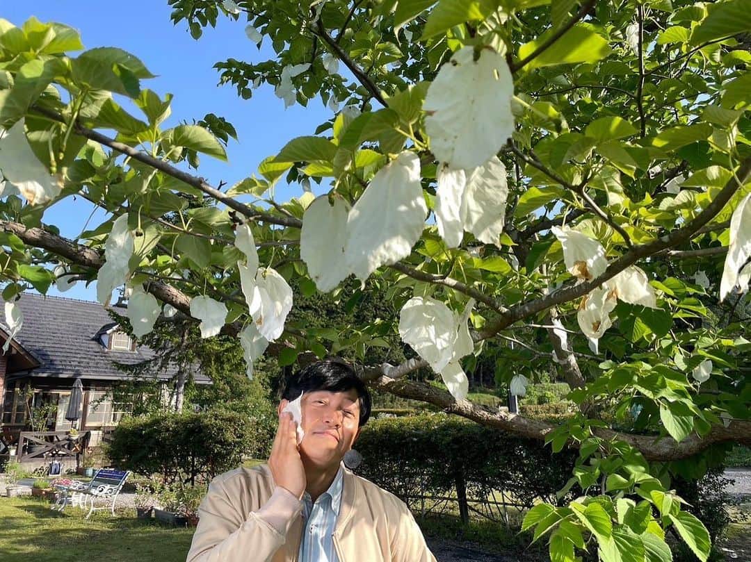 依田司さんのインスタグラム写真 - (依田司Instagram)「5月18日（木） 栃木県にある『花農場あわの』から。 周囲は懐かしい里山が広がり、２００種類を越える草花が四季を彩ります。 いまの時期はオレンジ色のハナビシソウや青色のネモフィラ、白色のカモミールなどが見ごろを迎えています。私の好きな「ハンカチの木」も。 元々、このあたりは粟野町という地域でしたが、２００６年に鹿沼市と合併。 粟野町の“憩いの場”として、花とハーブが大好きな農家さんが集まり、ガーデンを作り上げました。今年で２５年目。 ヨーロッパで修行したシェフが手掛ける併設レストランでは、ハーブや採れたて野菜を使用した本格派フレンチ・イタリアンをいただくことができます。 朝摘みのハーブと野菜たっぷりのピザは絶品、パスタやスイーツも充実してます。テラス席では、美味しい空気と美しい景色が無料で堪能できます笑。  #花農場あわの #DoCLASSE #ドゥクラッセ #依田さん #依田司 #お天気検定 #テレビ朝日 #グッドモーニング #気象予報士 #お天気キャスター #森林インストラクター #グリーンセイバーアドバンス #プロジェクトワイルド #IPCC伝導者 #japan #japantrip #japantravel #unknownjapan #japanAdventure #japanlife #lifeinjapan #instagramjapan #instajapan #療癒 #ilovejapan #weather #weathercaster #weatherforecast」5月18日 9時32分 - tsukasa_yoda