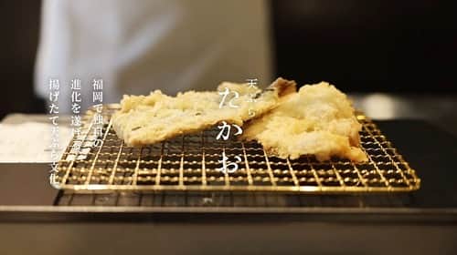 のインスタグラム：「けんさむ🐶です‪🍤 「#天ぷらたかお 」HAB@熊本店 #明太子 と浅漬けが食べ放題で白ごはん5杯くらいいけそうです🤤🐟🍖 📍#博多天ぷらたかお  いいね👍フォロー👯‍♂️Thankyou😇✨ 皆さんの熊本のお気に入りを教えてください🌿 DM💭待ってます🐶🎶 . #けんさむの熊本紹介 #熊本 #熊本グルメ #くまモン #けんさむ #熊本観光 #熊本県 #kumamoto #熊本ランチ #熊本定食 #habat #ハブアット #たかお」