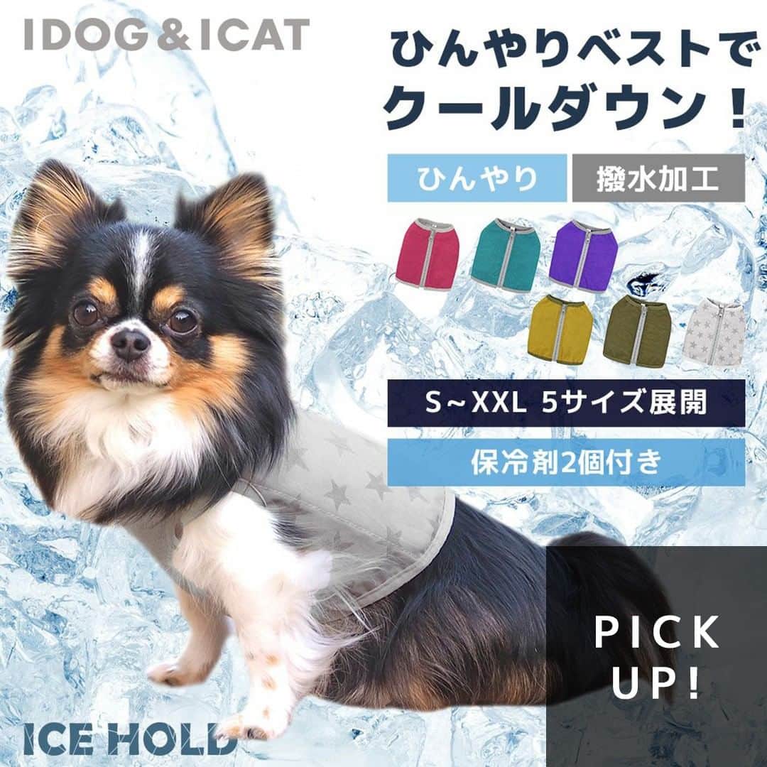 iDog&iCatさんのインスタグラム写真 - (iDog&iCatInstagram)「本日は「IDOG ICE HOLD クーリングベスト 保冷剤付 撥水」をご紹介いたします🐧✨  保冷剤を入れて使用するクールベストです。 カジュアルなアウトドア風デザインとカラーバリエーションは、男の子も女の子も使いやすいです。  冷凍庫で冷やした保冷剤を背中の左右ポケットに入れて、愛犬の身体に着用させてお使い下さい。ベストは軽く柔らかな使い心地で暑い日のおでかけやお散歩にオススメです。  表生地は撥水加工を施しました。雨や汚れを防いでくれます。背中にはロゴ入りの止水ファスナーを使用しています。前身頃は伸縮性のあるメッシュ素材を使用し、愛犬の身体にピッタリフィットします。  裏生地は通気性の高いクッションメッシュ素材を使用し、立体構造の空気の層が冷気効率を上げてくれます。 また、愛犬が冷えすぎるのを防ぎ、柔らかい肌当たりで優しい付け心地です。  付属の保冷剤は完全に凍って固まりるので、溶けだすまでの時間が長く、屋外でもひんやり感が長持ちします。 エチレングリコール不使用で万が一ペットが舐めても安心な原料を採用しました。 無毒性・高粘性・安全性に優れた極めて安心な材料を使用した保冷剤です。  クールベストで背中を冷やすことで、効率よく身体をクールダウンできます。 夏の暑い日のお散歩やお出かけにオススメのクールベストを使って愛犬の猛暑対策にお役立てください。  ※商品には保冷剤が2個付属しています。予備や追加をご希望の際には別売りの保冷剤単品2個セットをご利用ください。  商品番号/15725- 商品名/IDOG ICE HOLD クーリングベスト 保冷剤付 撥水 3,190円(税込)  #iDog #iDogiCat #iCat #犬の服 #犬服 #春夏新作 #ペット服 #ペットウェア #犬の服iDog #犬 #超小型犬 #小型犬 #中型犬 #うちの子優勝 #猫 #わんすたぐらむ #dog #にゃんすたぐらむ #cat #チワワ #トイプードル #ボストンテリア #ひんやり #熱中症 #熱中症対策 #熱中症予防 #暑さ対策 #保冷剤 #クールベスト」5月18日 10時07分 - idogicat
