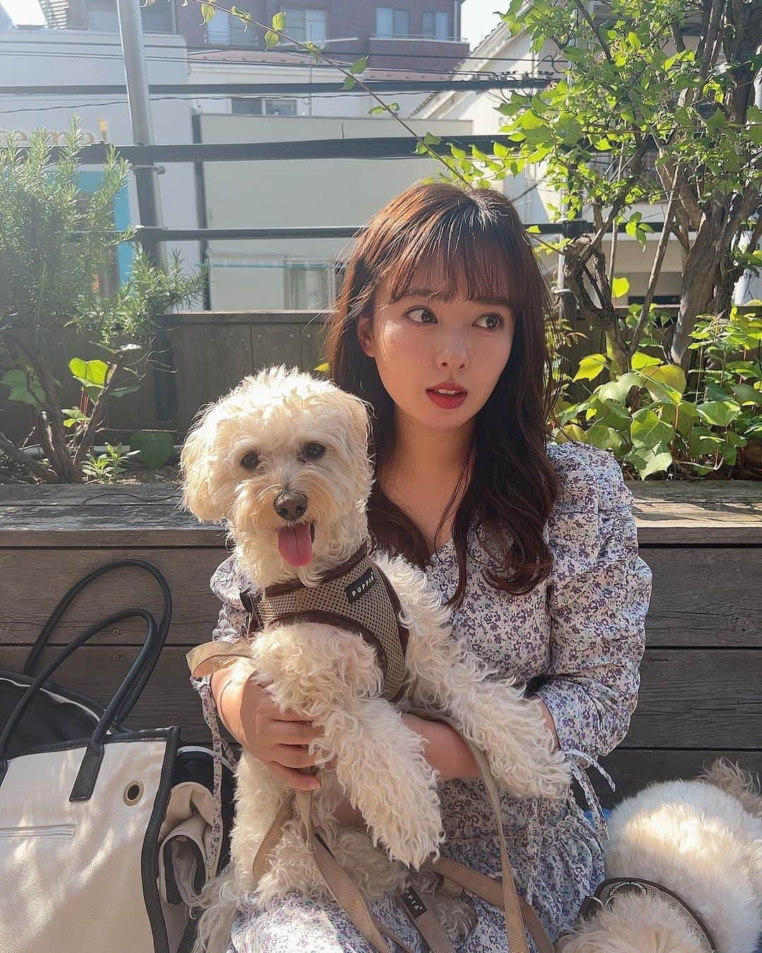 山田菜々のインスタグラム：「1枚目2枚目のこまちの表情🥹💓  ほんとは最後もお気に入りだけど、 またわたしが半目っぽくなってるので おまけにしておきます😮‍💨☝️笑  木曜日、今日もいい日になりますように✨」