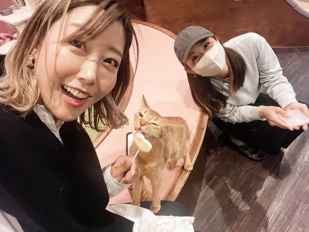 のインスタグラム：「先日、さぁやさん @saya.aoi と京都デートしてきました🤍  春のエクトレ @_excellent_treasure_ での青物キャスティング釣行は大人数だったけれど、今回は2人っきり！！ 最初はドキドキして、話しが止まったらどうしよう…とか緊張していたけれど、そんなの最初だけでした🤣  ランチ後は人生初の猫カフェへ🐈🤍 "よし！場所の把握したから、行こう！！"って自信満々に言いながら真反対の道をグイグイ進んでいくさぁやさんは本当に可愛かった🤣🤣  猫慣れしているさぁやさんがどんどん猫の前でトロントロンになっていく姿はメディアでは見ない姿でとても貴重な様子でしたよ🤭  釣りの予定も立てたし、また楽しみが出来た♪  さぁやさん、ありがとうございました👏🏻🐻」