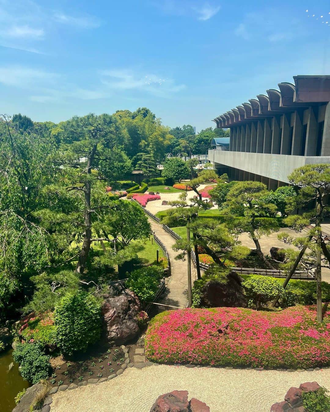 ホテル ニューオータニさんのインスタグラム写真 - (ホテル ニューオータニInstagram)「In our Japanese Garden the Satsuki Azaleas are at their peak now.  日本庭園では #サツキ が見ごろ。ガーデンラウンジからの景色をお届けします。  #satsuki #azalea #日本庭園　 #japanesegarden #japnesegardens #tokyo #japan #tokyotrip  #tokyotravel #tokyohotel  #virtualtour #japanbeauty #forbestravelguide #futuretravelguide #thepreferredlife #ホテルニューオータニ #ニューオータニ #hotelnewotani #newotani #赤坂見附 #赤坂#四ツ谷 #紀尾井町  #akasaka #yotsuya  #ホテル #東京ホテル #ホテルステイ」5月18日 12時00分 - hotelnewotanitokyo