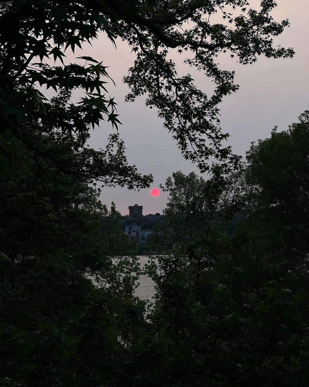 サラ・バレリスさんのインスタグラム写真 - (サラ・バレリスInstagram)「This is my last night living in Manhattan. I walked to the water to take in one last sunset and the sun took my breath away. It was low and swollen and blood red (my camera sees hot pink- tomato/tomata) and it felt like an awesome omen. At first my thought was this is terrifying and a symbol of terrible things to come, but on second thought it simply felt powerful and a mystic indicator that this moment is worth marking. I have always been a fearful jumper. (See earlier spiral about terrible omens) Taking big leaps is not easy- but it’s necessary and it’s what makes us remember we can. Every time  we do, we are practicing the art of meeting new earth… with a little more sky under your belt.  See you in Brooklyn. ❤️」5月18日 12時04分 - sarabareilles