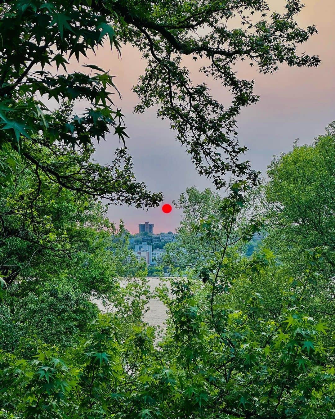 のインスタグラム：「This is my last night living in Manhattan. I walked to the water to take in one last sunset and the sun took my breath away. It was low and swollen and blood red (my camera sees hot pink- tomato/tomata) and it felt like an awesome omen. At first my thought was this is terrifying and a symbol of terrible things to come, but on second thought it simply felt powerful and a mystic indicator that this moment is worth marking. I have always been a fearful jumper. (See earlier spiral about terrible omens) Taking big leaps is not easy- but it’s necessary and it’s what makes us remember we can. Every time  we do, we are practicing the art of meeting new earth… with a little more sky under your belt.  See you in Brooklyn. ❤️」