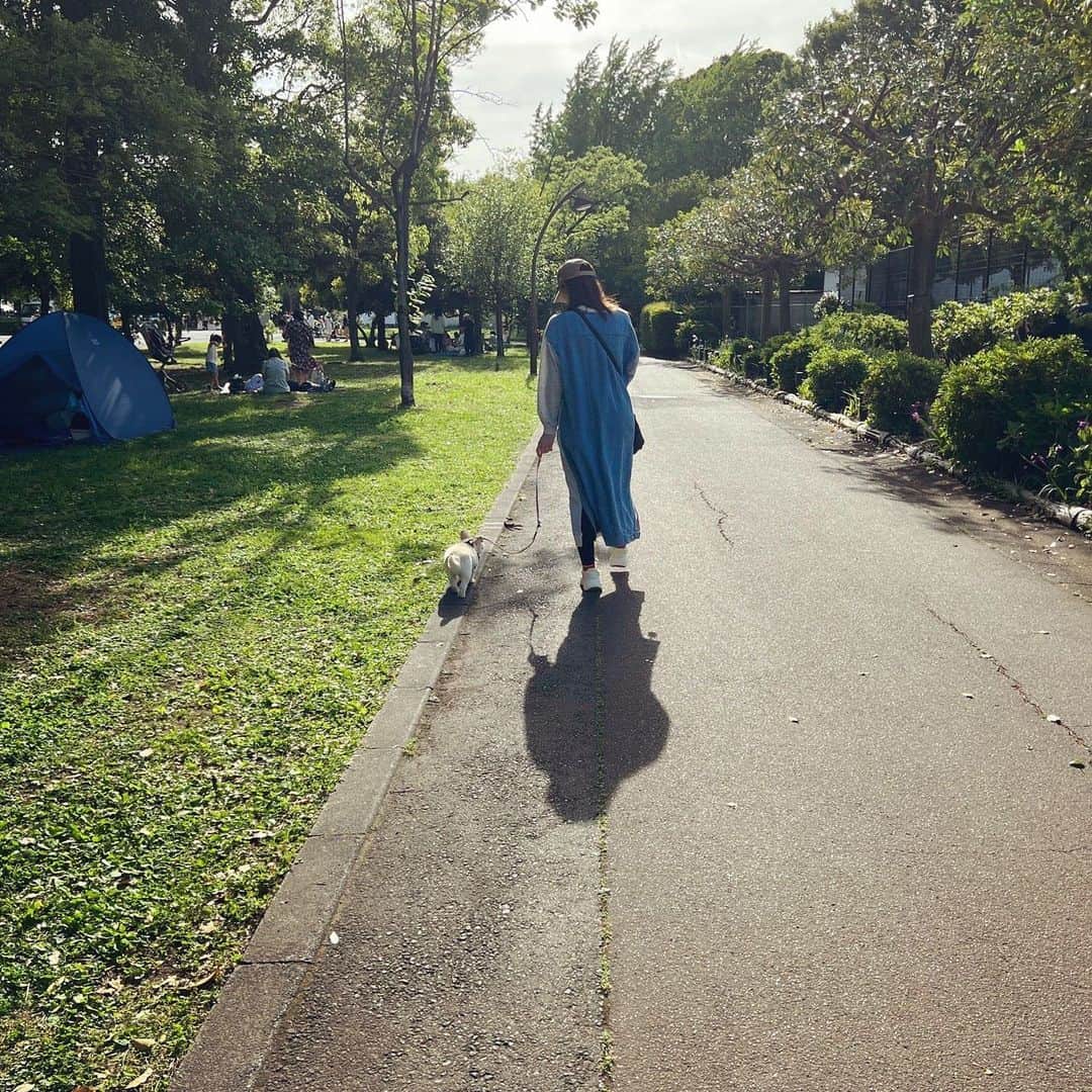 手島優さんのインスタグラム写真 - (手島優Instagram)「・  暑いのでみなさまも熱中症など　 気をつけてくださいませー☀️💦  #夏日　#水分補給　#忘れずに #この日は涼しい日でした 　#お散歩」5月18日 13時04分 - tejimayuu0827