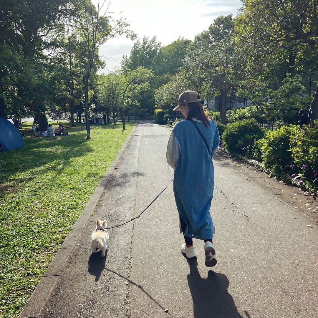 手島優さんのインスタグラム写真 - (手島優Instagram)「・  暑いのでみなさまも熱中症など　 気をつけてくださいませー☀️💦  #夏日　#水分補給　#忘れずに #この日は涼しい日でした 　#お散歩」5月18日 13時04分 - tejimayuu0827