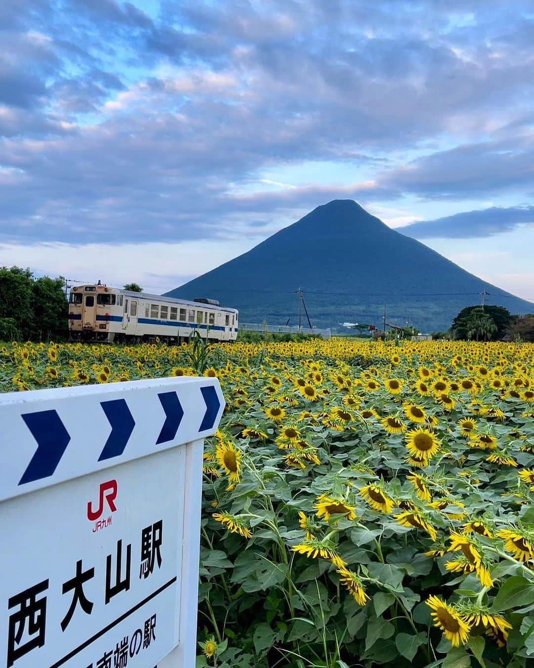 ジェットスター航空さんのインスタグラム写真 - (ジェットスター航空Instagram)「行きたい！と思ったら【いいね❤️】 #jettabi_japan #鹿児島編🍠 JR最南端の駅⁉️ #西大山駅  JR日本最南端の駅として知られているのが、鹿児島県指宿市にある「西大山駅」🚃 駅の近くには広大なひまわり畑があり、夏になると一面黄色の絨毯に🌻✨ また、日本の百名山の一つ、開聞岳を望む景勝地としても人気🗻  他にも「幸せの鐘🔔」や「幸せのポスト📮」があり、幸せあふれるハッピースポット🥰 指宿市を代表する花、菜の花をイメージして黄色く塗られたポストに手紙を投函すれば、ここから幸せを送れちゃうんでスター💌  大切な人への手紙をたずさえて、西大山駅を訪れてみては？  【西大山駅】 📍鹿児島県指宿市山川大山602  -------------------------------------------- ／ 📣ジェットスターなら、鹿児島まで ＼ ✈︎東京（成田）から 片道¥5,590〜  鹿児島～東京（成田）路線はおかげさまで5月31日に就航10周年を迎えます🎉 今後もより多くのお客様に、安全かつ安心してご利用いただける気軽な空の旅を提供してまいります✈️  --------------------------------------------  ジェットスター・ジャパン公式アカウント（@jetstar_japan）では「“次に行きたい”が見つかる」をテーマに就航地の魅力をご紹介✈️⭐️「#jettabi_japan」をつけて、皆さんのFun&Happyな旅の思い出をぜひご投稿ください！素敵なお写真は、公式アカウントでご紹介させていただきます♪  ⭐️Special thanks📸 by @hirosakimisa_jewelrytrunk（1枚目） / @hrk1108（2枚目） / @aya_kichikichi（3枚目） / @my7korea（4枚目）/ @hiropan16（5枚目）/ @neko_gram_0126（6枚目） --------------------------------------------  ※運賃はエコノミークラス「Starter」。支払手数料、空港使用料等が別途必要です。受託手荷物の料金は含まれません。諸条件が適用されます。 ※就航地のご紹介内容に関する最新情報は、下記の参照サイト等でご確認ください。 -------------------------------------------- 【参照サイト】 鹿児島観光サイト「かごしまの旅」 いぶすき観光ネット --------------------------------------------  #鹿児島 #鹿児島観光 #鹿児島旅行 #ジェットスター #jetstar #jetstar_japan #LCC #trip #旅好きな人と繋がりたい #パワースポット #インスタ映え #kagoshima #kyusyu #鹿児島ひまわり畑 #鹿児島絶景 #カゴスタグラマー #九州観光 #九州ぐらむ #西大山駅の黄色いポスト #ibusuki #南薩 #開聞岳 #指宿枕崎線 #九州絶景 #鹿児島お出かけ #鹿児島絶景」5月18日 18時00分 - jetstar_japan