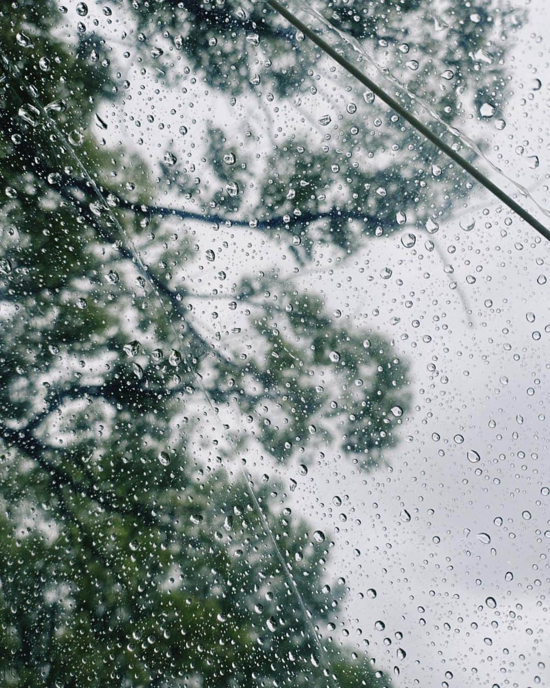 有村藍里さんのインスタグラム写真 - (有村藍里Instagram)「☔️ 梅雨が来る前に 沢山おでかけしようと代々木公園へ。 結果、夕立に遭って大変だったけど それはそれで良い思い出( ¨̮ )  @mercuryduo_com の バックシャンタイプライターワンピース(インディゴ)と、 #mercuryduo #pr #マーキュリーデュオ  @chouchoumarina_official × @rosebleue_store ルミネエスト新宿popup限定 ハンドメイドアクセサリーを 合わせてみたよ🫧  羽織っているのは @some0658 のお気に入りシャツ  【rose bleue POPUP STORE】 ルミネエスト新宿1F  5/25(木)-5/30(火)まで開催。 平日11:00-21:00／土日祝10:30-21:00までです。 5/26(金)と5/28(日)来店イベントもあります。 詳細についてはハイライトにまとめてあるので 是非チェックしてくださいね🛒」5月18日 23時33分 - arimuraairi