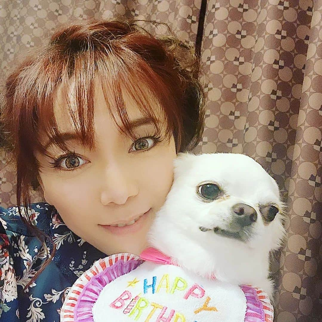 花咲ゆき美さんのインスタグラム写真 - (花咲ゆき美Instagram)「昨日は、クムクムの４才の お誕生日でした🎂」5月18日 23時59分 - yukimi0774