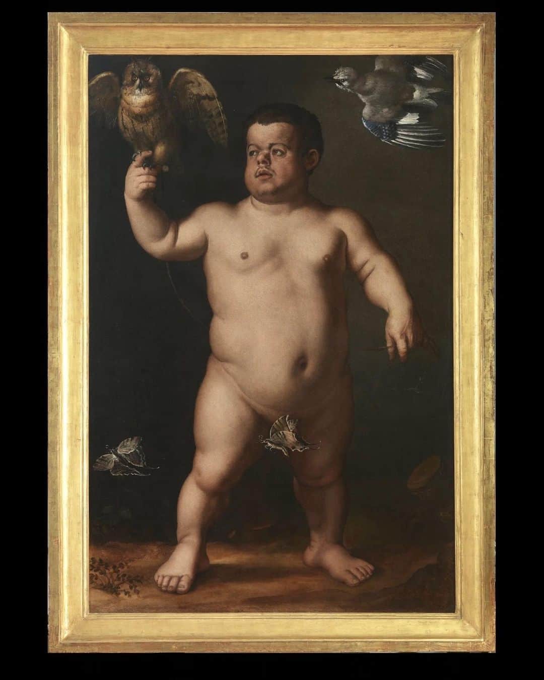 StreetArtGlobeさんのインスタグラム写真 - (StreetArtGlobeInstagram)「Portrait of the Dwarf Morgante. Painted in around 1550 by Bronzino and housed in Palazzo Pitti (Pitti Palace).   The figure portrayed in this picture is Cosimo l's favourite dwarf Braccio di Bartolo, nicknamed Morgante.   The canvas is painted on either side, showing us the dwarf both from in front and from behind.   The two scenes capture different moments in a bird hunt, one of the Duke's preferred pastimes. On the front we see the start of the hunt with Morgante holding an owl (used as bait) on a leash, its wings unfurled, while a jay, a bird commonly found in the woods in Tuscany, flies overhead in the top right-hand corner. Below we see two butterflies, one in flight, the other concealing the dwarf's genitals.   The narrative continues on the back, with a surprise in store.  We also found two additional artworks featuring Morgante in the palace, the first being a marble sculpture of Morgante riding a turtle, and the second being a water fountain 🐢💦」5月19日 0時08分 - streetartglobe